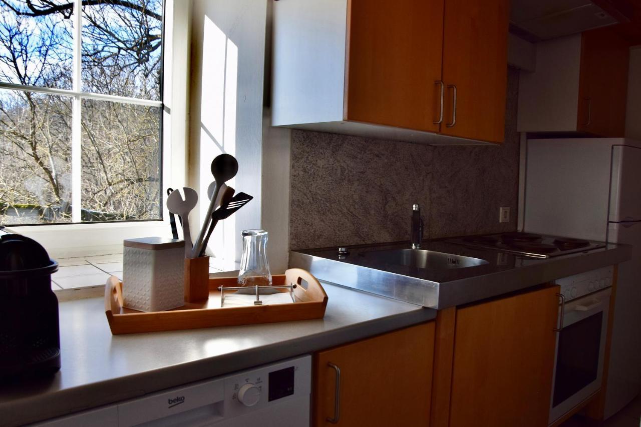 Golf-Appartement Gleisdorf Εξωτερικό φωτογραφία